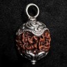 Kettenanhänger aus Himalayan Rudraksha-Nuss & Silber | buddhapearls