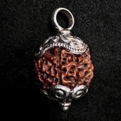 Kettenanhänger aus Himalayan Rudraksha-Nuss & Silber | buddhapearls