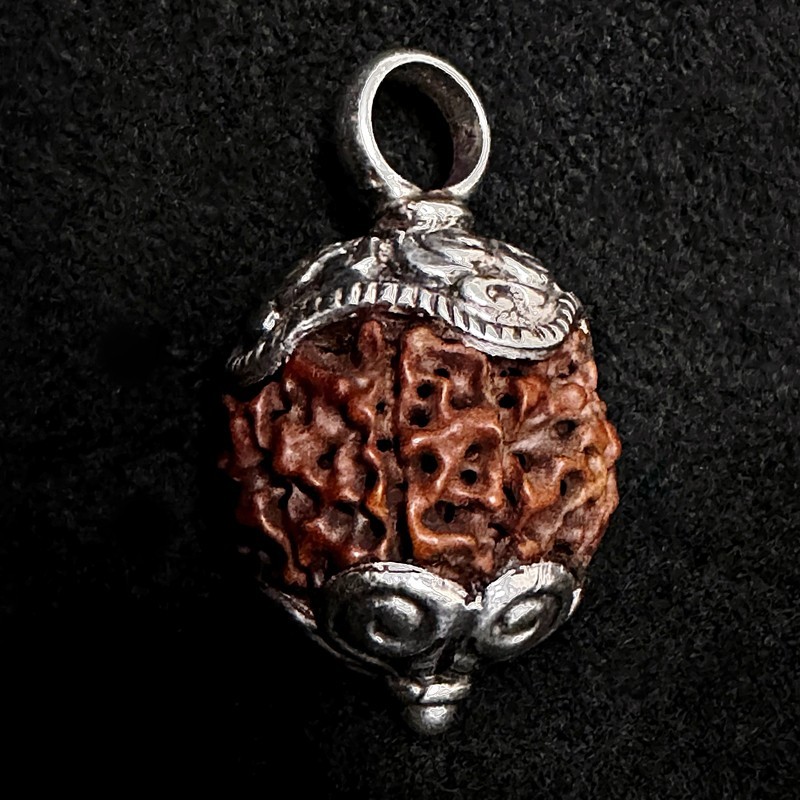 Kettenanhänger aus Himalayan Rudraksha-Nuss & Silber | buddhapearls