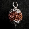Kettenanhänger aus Himalayan Rudraksha-Nuss & Silber | buddhapearls