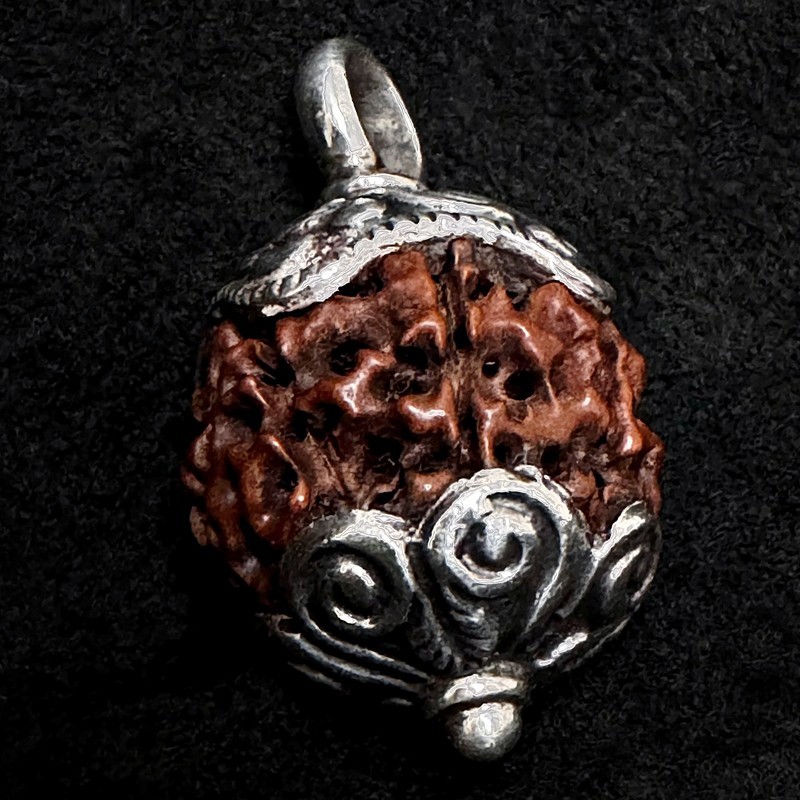 Kettenanhänger aus Himalayan Rudraksha-Nuss & Silber | buddhapearls
