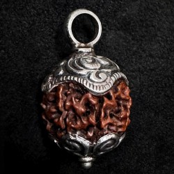 Kettenanhänger aus Himalayan Rudraksha-Nuss & Silber | buddhapearls
