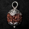 Kettenanhänger aus Himalayan Rudraksha-Nuss & Silber | buddhapearls