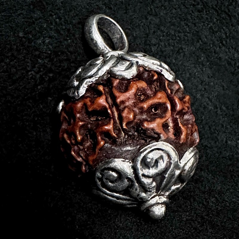 Rudraksha Kettenanhänger & Silber | Handgefertigt | buddhapearls