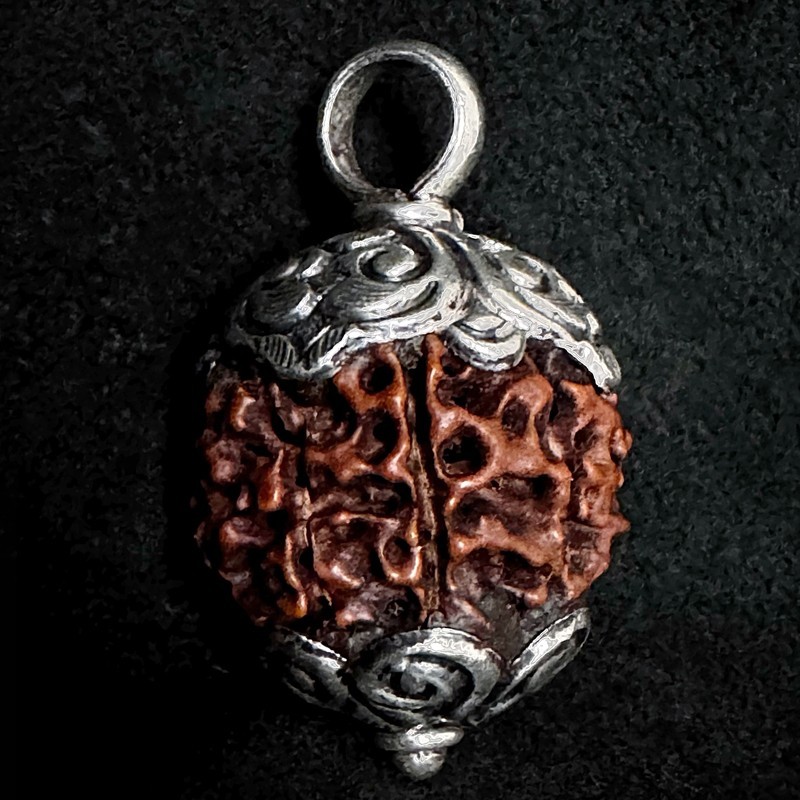 Rudraksha Kettenanhänger & Silber | Handgefertigt | buddhapearls