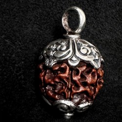 Rudraksha Kettenanhänger & Silber | Handgefertigt | buddhapearls