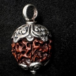 Rudraksha Kettenanhänger & Silber | Handgefertigt | buddhapearls