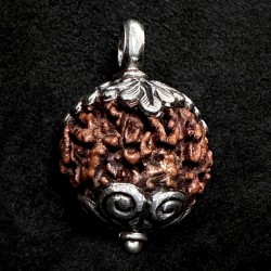 Rudraksha Kettenanhänger & Silber | Handgefertigt | buddhapearls