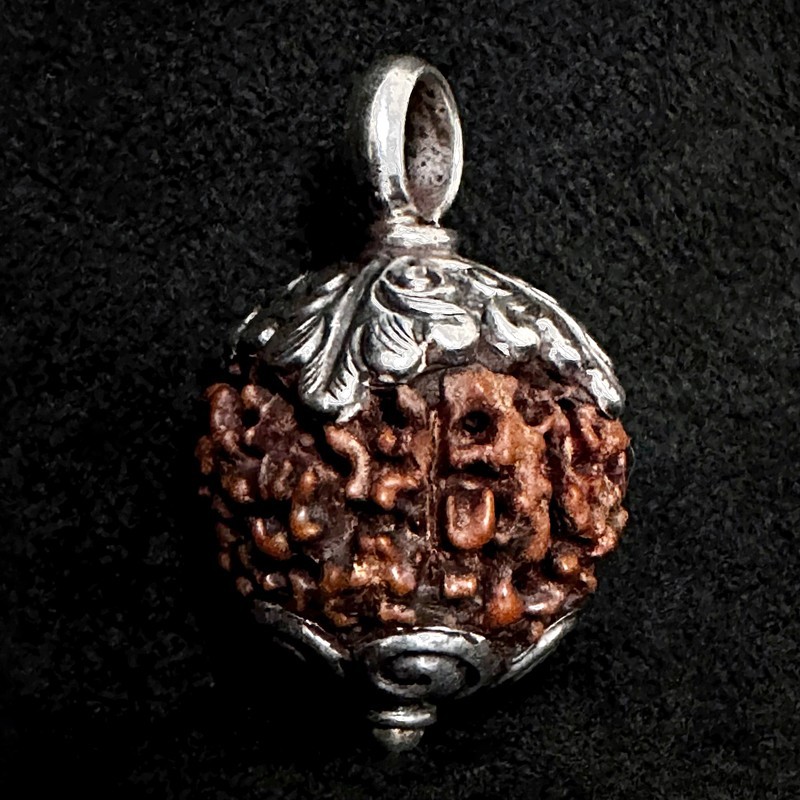 Rudraksha Kettenanhänger & Silber | Handgefertigt | buddhapearls