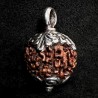 Rudraksha Kettenanhänger & Silber | Handgefertigt | buddhapearls