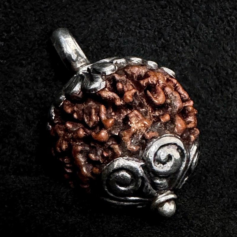 Rudraksha Kettenanhänger & Silber | Handgefertigt | buddhapearls