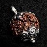 Rudraksha Kettenanhänger & Silber | Handgefertigt | buddhapearls