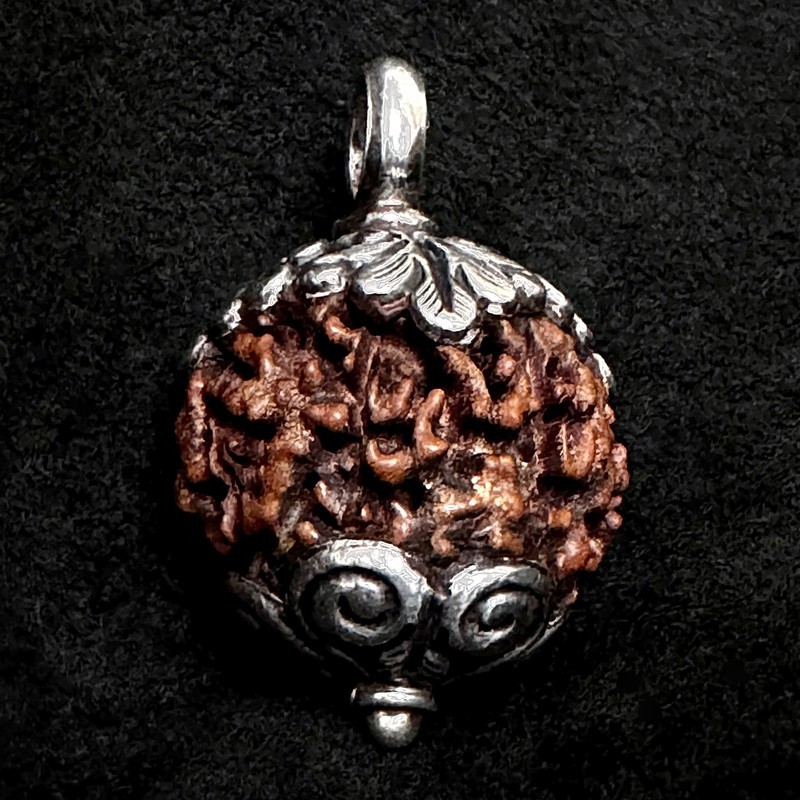 Rudraksha Kettenanhänger & Silber | Handgefertigt | buddhapearls