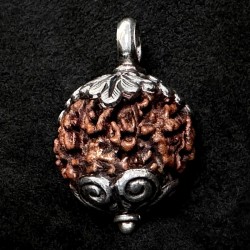Rudraksha Kettenanhänger & Silber | Handgefertigt | buddhapearls