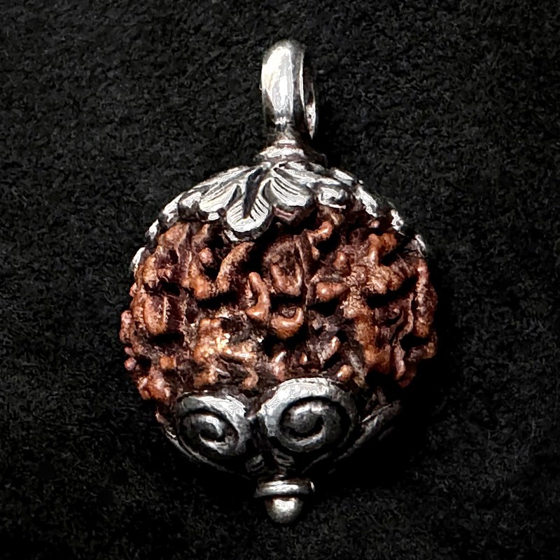Rudraksha Kettenanhänger & Silber | Handgefertigt | buddhapearls